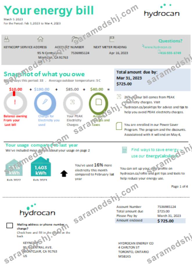 Ontario Hydrocan electricity business bill, SCR